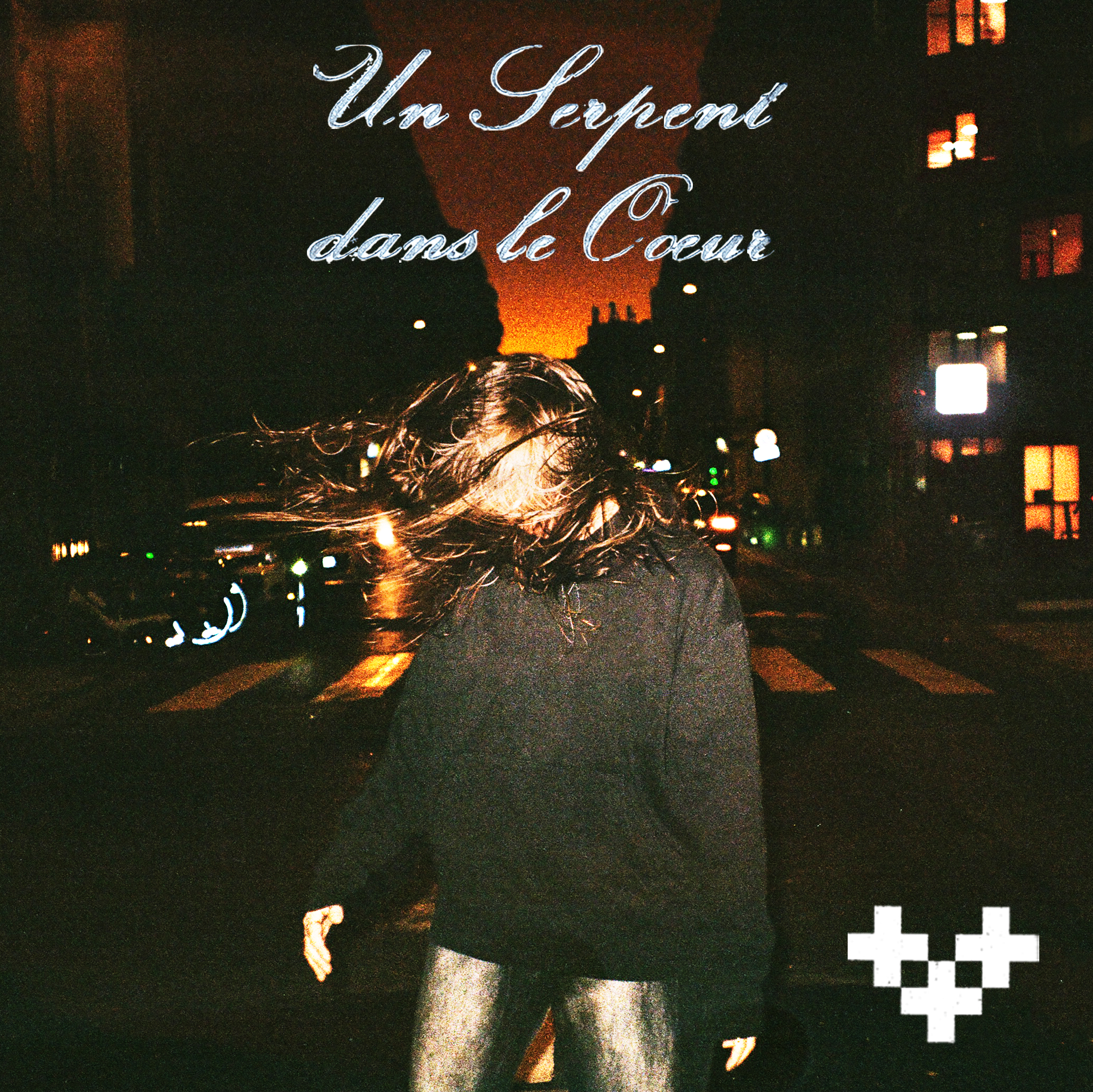 Un Serpent dans le Coeur